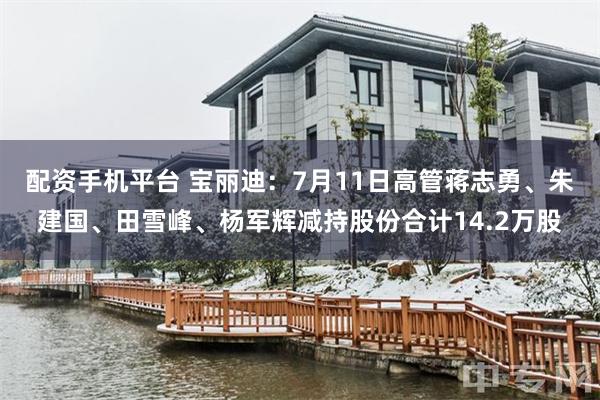 配资手机平台 宝丽迪：7月11日高管蒋志勇、朱建国、田雪峰、杨军辉减持股份合计14.2万股