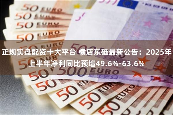 正规实盘配资十大平台 横店东磁最新公告：2025年上半年净利同比预增49.6%-63.6%
