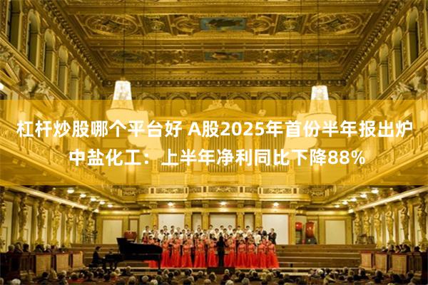 杠杆炒股哪个平台好 A股2025年首份半年报出炉 中盐化工：上半年净利同比下降88%