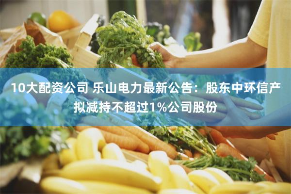 10大配资公司 乐山电力最新公告：股东中环信产拟减持不超过1%公司股份