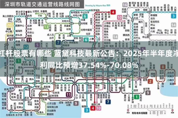 杠杆股票有哪些 蓝黛科技最新公告：2025年半年度净利同比预增37.54%-70.08%