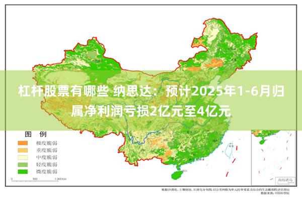 杠杆股票有哪些 纳思达：预计2025年1-6月归属净利润亏损2亿元至4亿元
