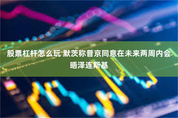股票杠杆怎么玩 默茨称普京同意在未来两周内会晤泽连斯基