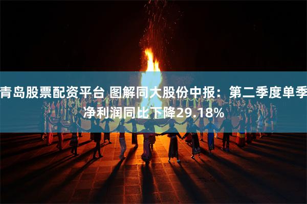 青岛股票配资平台 图解同大股份中报：第二季度单季净利润同比下降29.18%