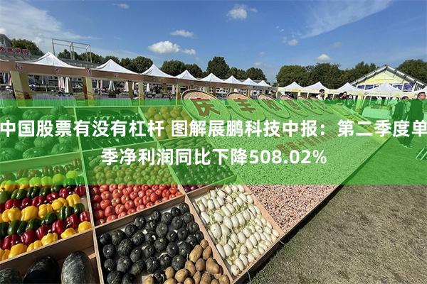 中国股票有没有杠杆 图解展鹏科技中报：第二季度单季净利润同比下降508.02%