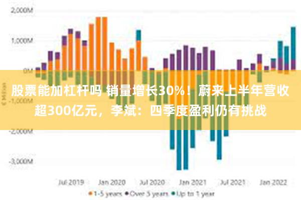 股票能加杠杆吗 销量增长30%！蔚来上半年营收超300亿元，李斌：四季度盈利仍有挑战