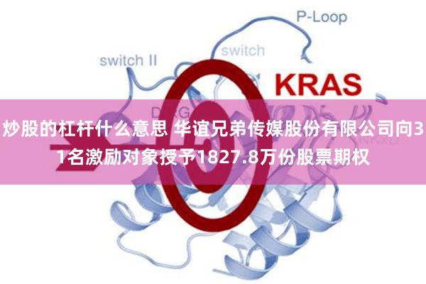 炒股的杠杆什么意思 华谊兄弟传媒股份有限公司向31名激励对象授予1827.8万份股票期权