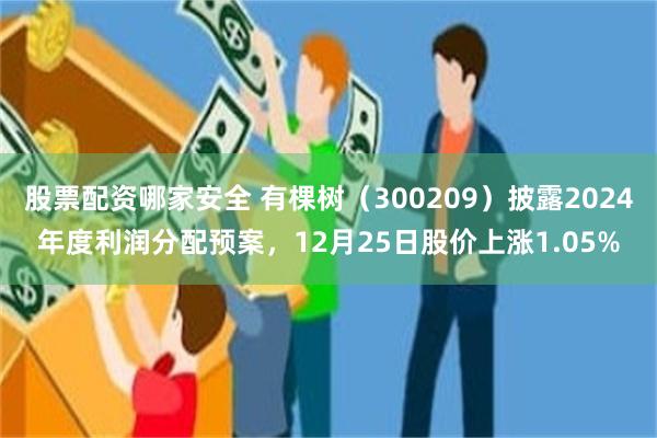 股票配资哪家安全 有棵树（300209）披露2024年度利润分配预案，12月25日股价上涨1.05%