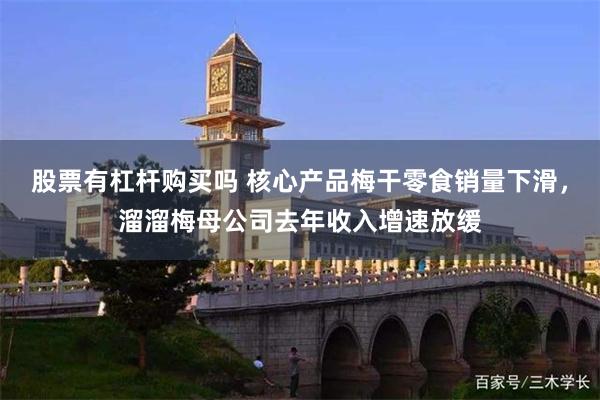 股票有杠杆购买吗 核心产品梅干零食销量下滑，溜溜梅母公司去年收入增速放缓