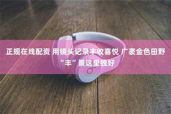 正规在线配资 用镜头记录丰收喜悦 广袤金色田野 “丰”景这里独好