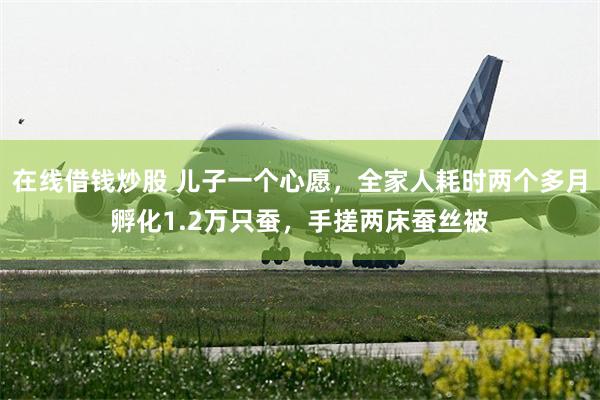在线借钱炒股 儿子一个心愿，全家人耗时两个多月孵化1.2万只蚕，手搓两床蚕丝被