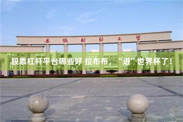 股票杠杆平台哪些好 拉布布,“进”世界杯了!