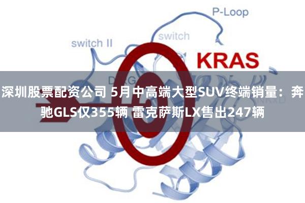深圳股票配资公司 5月中高端大型SUV终端销量：奔驰GLS仅355辆 雷克萨斯LX售出247辆