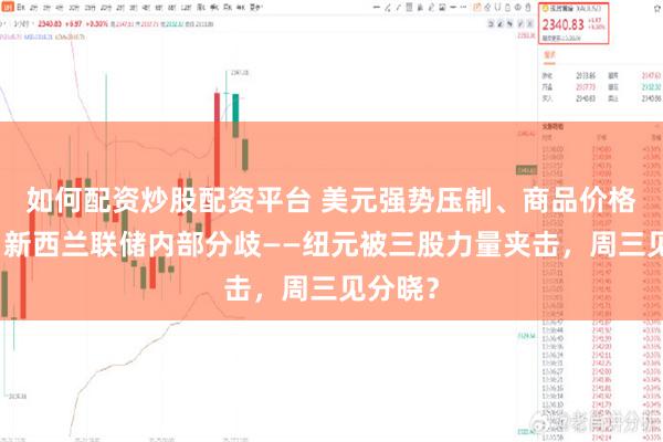 如何配资炒股配资平台 美元强势压制、商品价格拖累、新西兰联储内部分歧——纽元被三股力量夹击,周三见分晓?