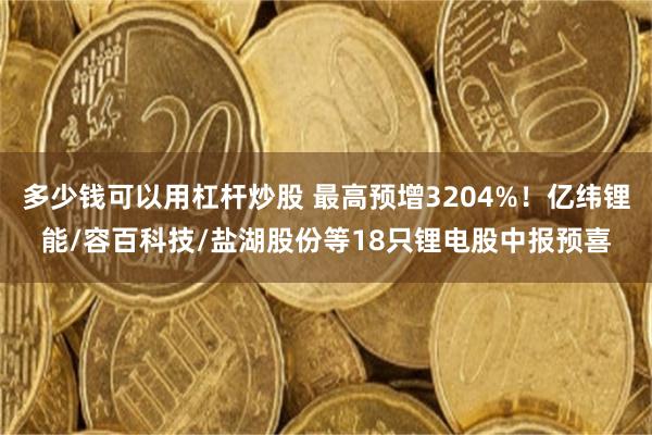 多少钱可以用杠杆炒股 最高预增3204%!亿纬锂能/容百科技/盐湖股份等18只锂电股中报预喜