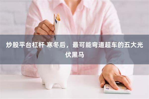 炒股平台杠杆 寒冬后,最可能弯道超车的五大光伏黑马