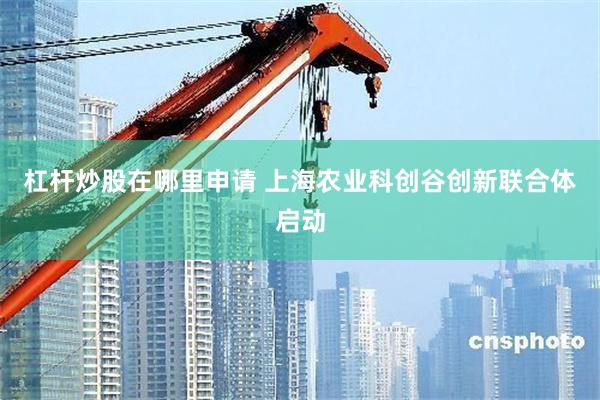 杠杆炒股在哪里申请 上海农业科创谷创新联合体启动