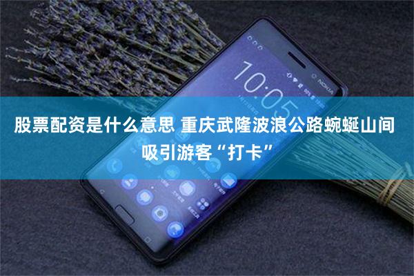 股票配资是什么意思 重庆武隆波浪公路蜿蜒山间 吸引游客“打卡”