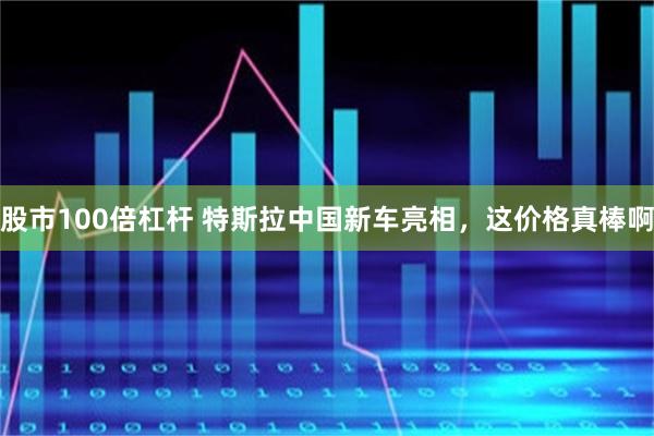 股市100倍杠杆 特斯拉中国新车亮相，这价格真棒啊