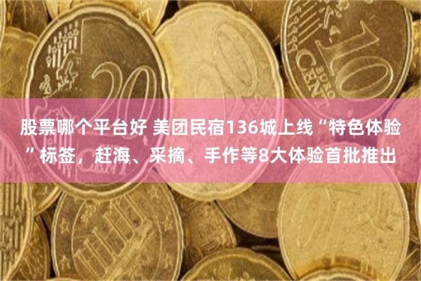 股票哪个平台好 美团民宿136城上线“特色体验”标签，赶海、采摘、手作等8大体验首批推出