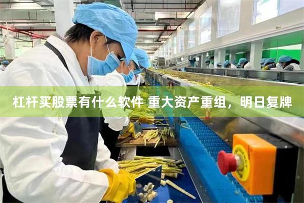 杠杆买股票有什么软件 重大资产重组，明日复牌