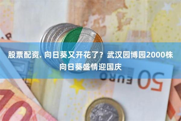 股票配资. 向日葵又开花了？武汉园博园2000株向日葵盛情迎国庆