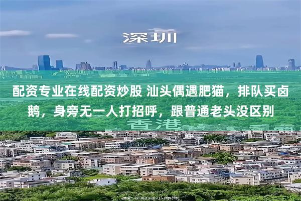 配资专业在线配资炒股 汕头偶遇肥猫，排队买卤鹅，身旁无一人打招呼，跟普通老头没区别