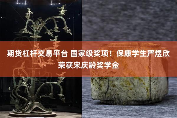 期货杠杆交易平台 国家级奖项！保康学生严煜欣荣获宋庆龄奖学金