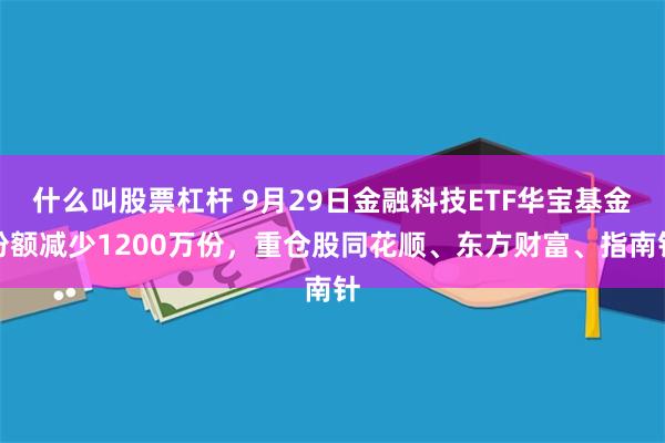 什么叫股票杠杆 9月29日金融科技ETF华宝基金份额减少1200万份，重仓股同花顺、东方财富、指南针