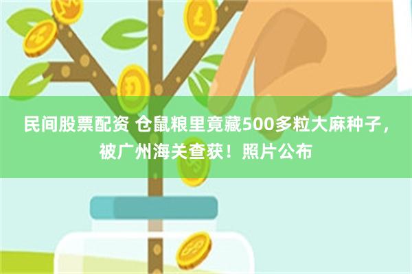 民间股票配资 仓鼠粮里竟藏500多粒大麻种子，被广州海关查获！照片公布