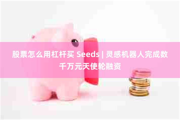 股票怎么用杠杆买 Seeds | 灵感机器人完成数千万元天使轮融资