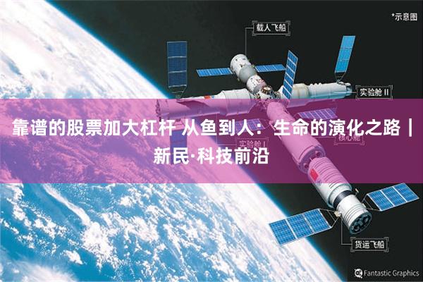 靠谱的股票加大杠杆 从鱼到人：生命的演化之路｜新民·科技前沿