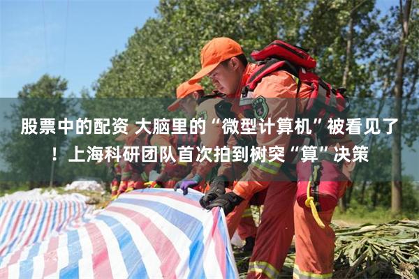 股票中的配资 大脑里的“微型计算机”被看见了！上海科研团队首次拍到树突“算”决策